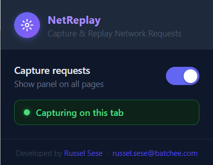 NetReplay popup